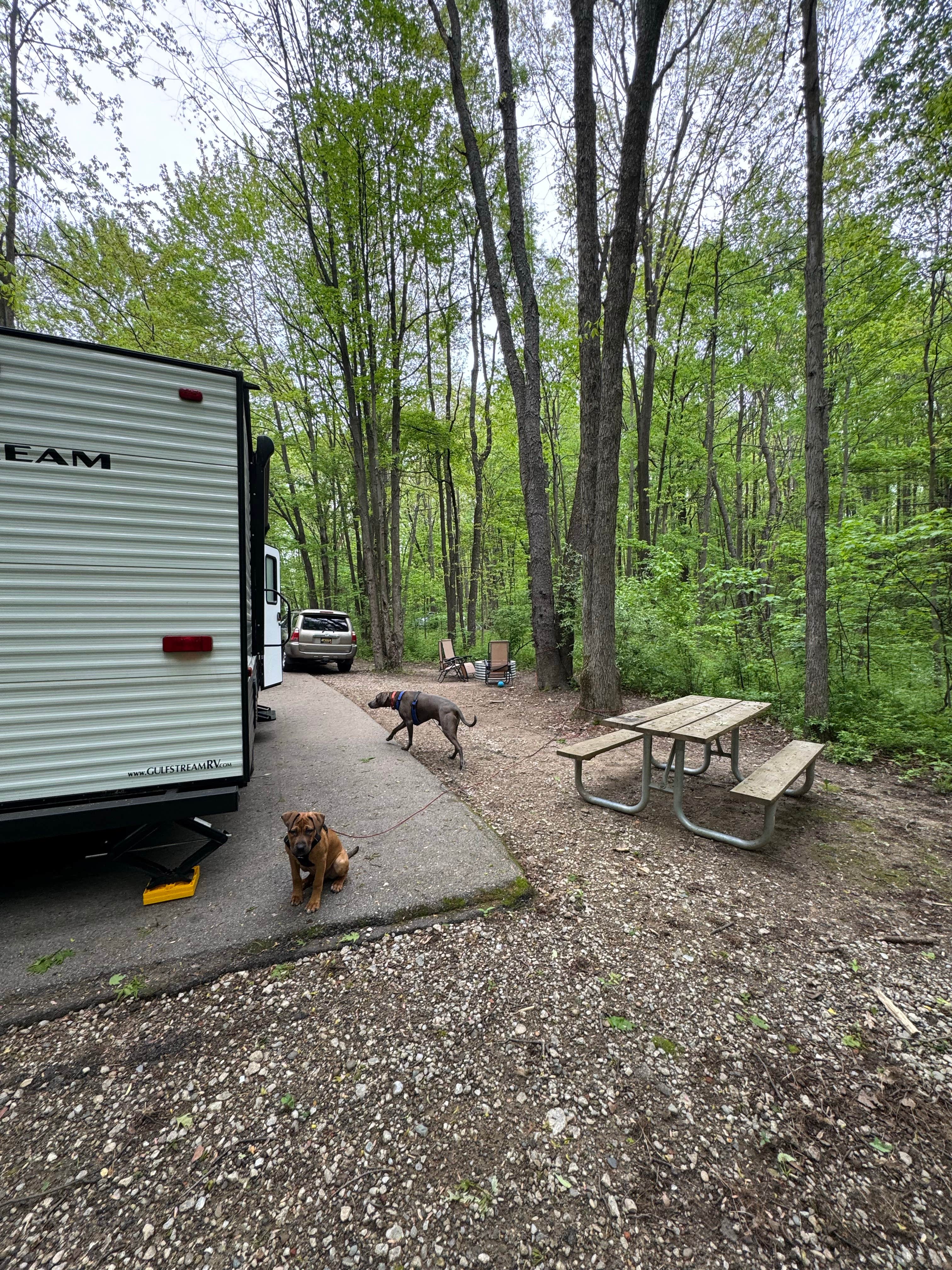 Ashley F.'s photo of camping with pets at McGinnis Lake Modern Campground — Holly Recreation Area near Detroit, MI