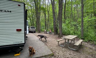 Ashley F.'s photo of camping with pets at McGinnis Lake Modern Campground β Holly Recreation Area near Owosso, MI