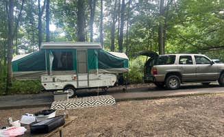Nicole F.'s photo of rv camping at McGinnis Lake Campground — Holly Recreation Area near Milford, MI