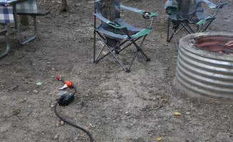 Don B.'s photo at McGinnis Lake Campground — Holly Recreation Area near Genesee, MI