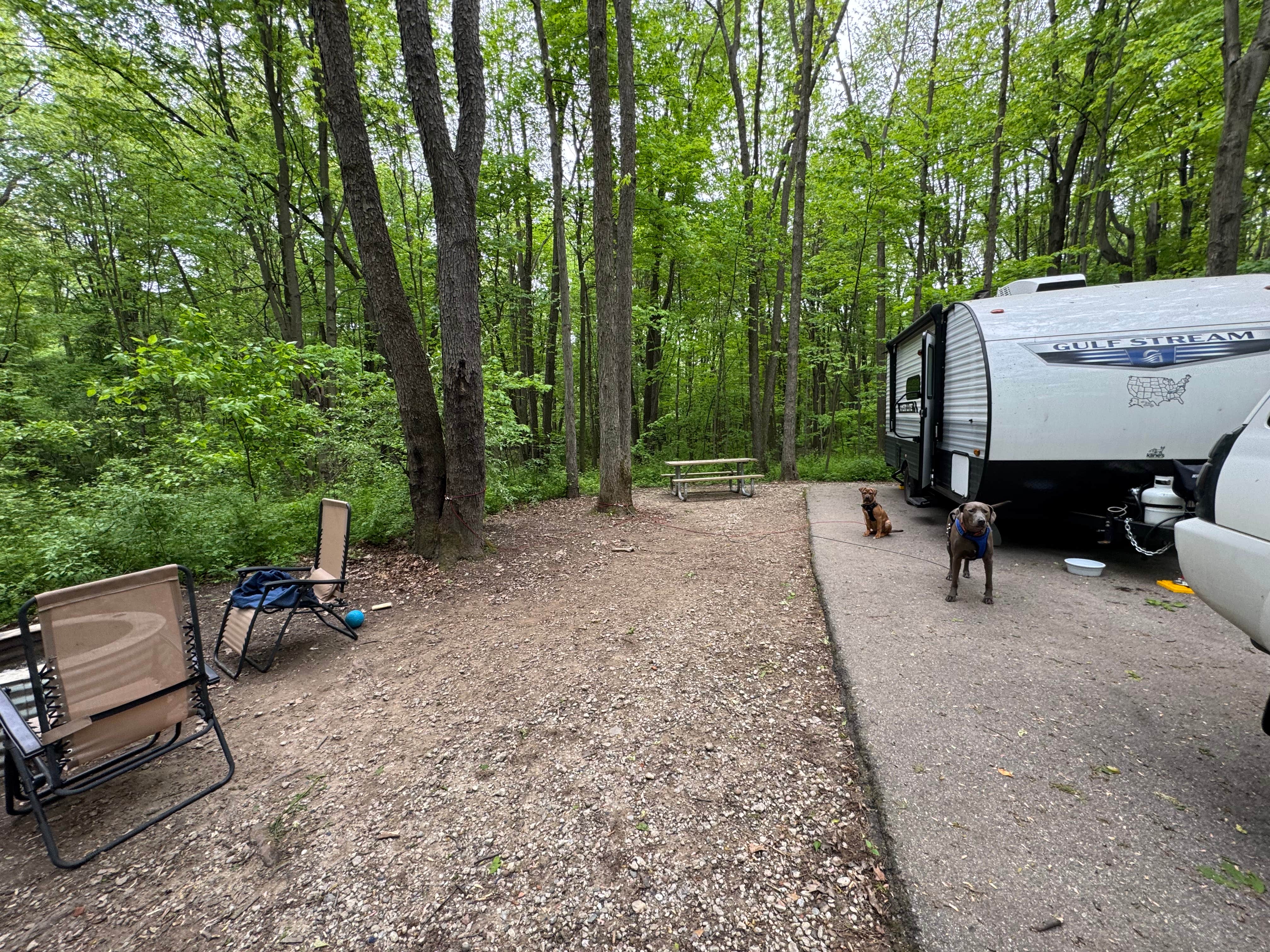Ashley F.'s photo at McGinnis Lake Modern Campground — Holly Recreation Area near Auburn Hills, MI