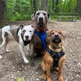 Review photo of McGinnis Lake Modern Campground — Holly Recreation Area by Ashley F., May 18, 2025