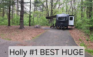 D P.'s photo at McGinnis Lake Modern Campground — Holly Recreation Area near Davison, MI