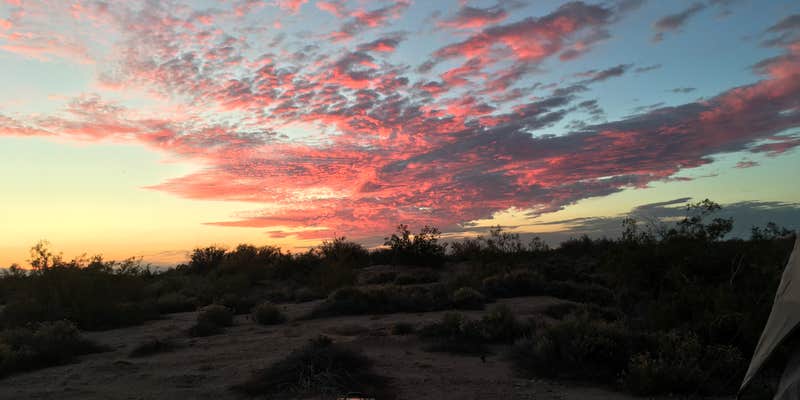 Camper submitted image from Holtville Hot Springs Dispersed Site