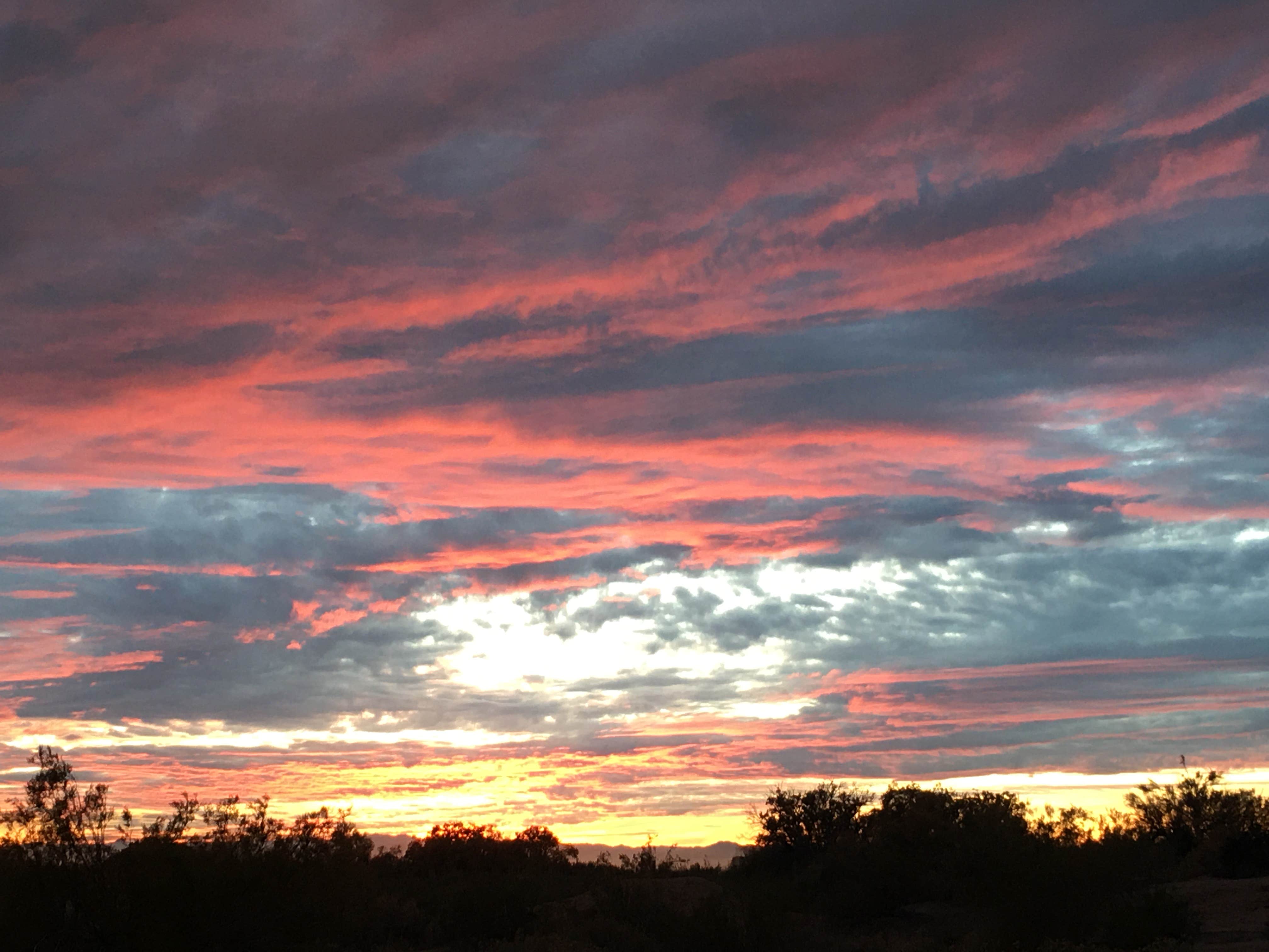 Chandra B.'s photo of a dispersed camping area at Holtville Hot Springs Dispersed Site near Calexico, CA