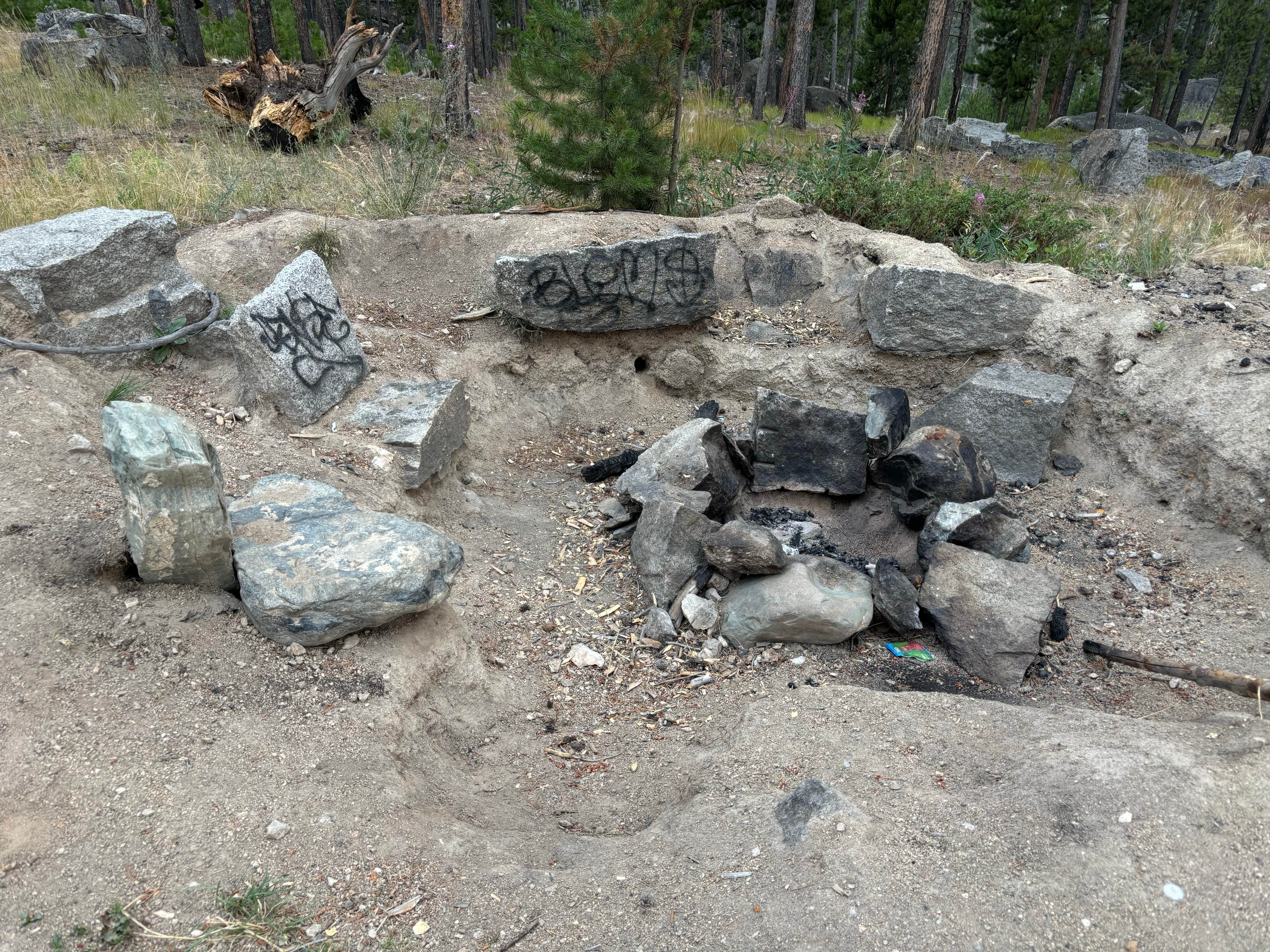 Camper submitted image from Homestake Pass Dispersed - 4