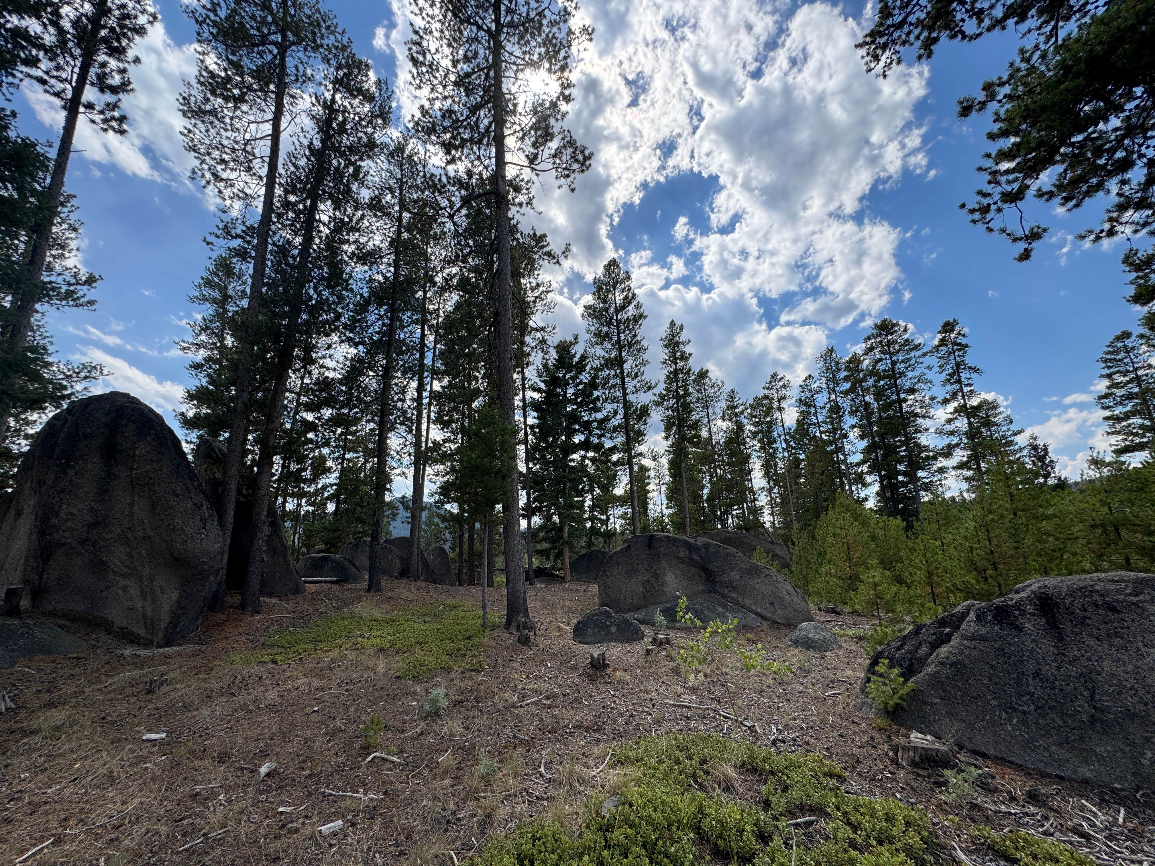 Camper-submitted photo at Homestake Pass Dispersed in Montana
