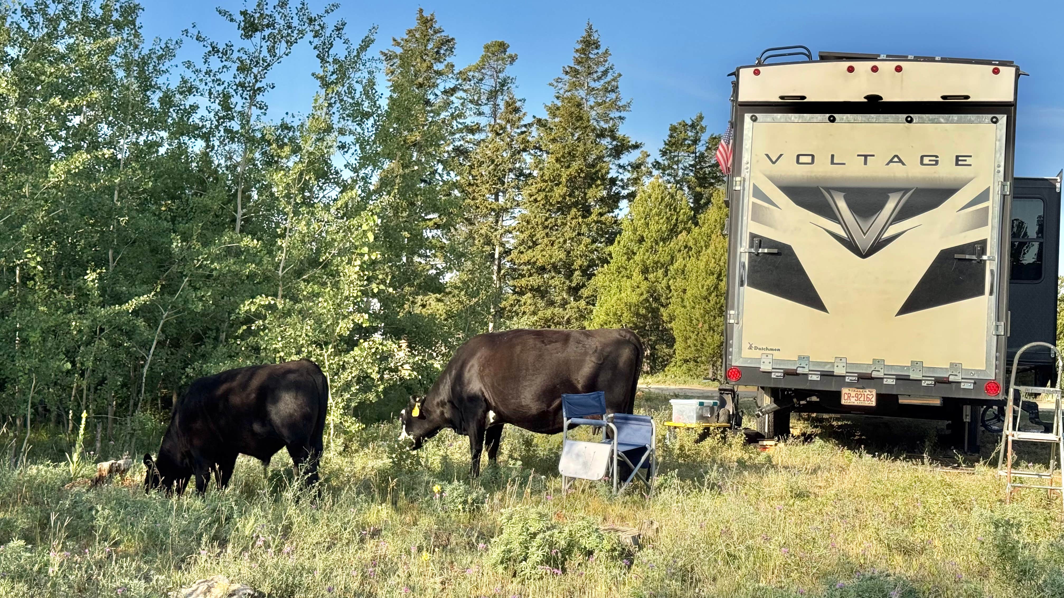 Camper submitted image from Homestake Pass Dispersed - 1