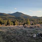 Review photo of Homestake Pass Dispersed by Sehvanna S., March 30, 2026