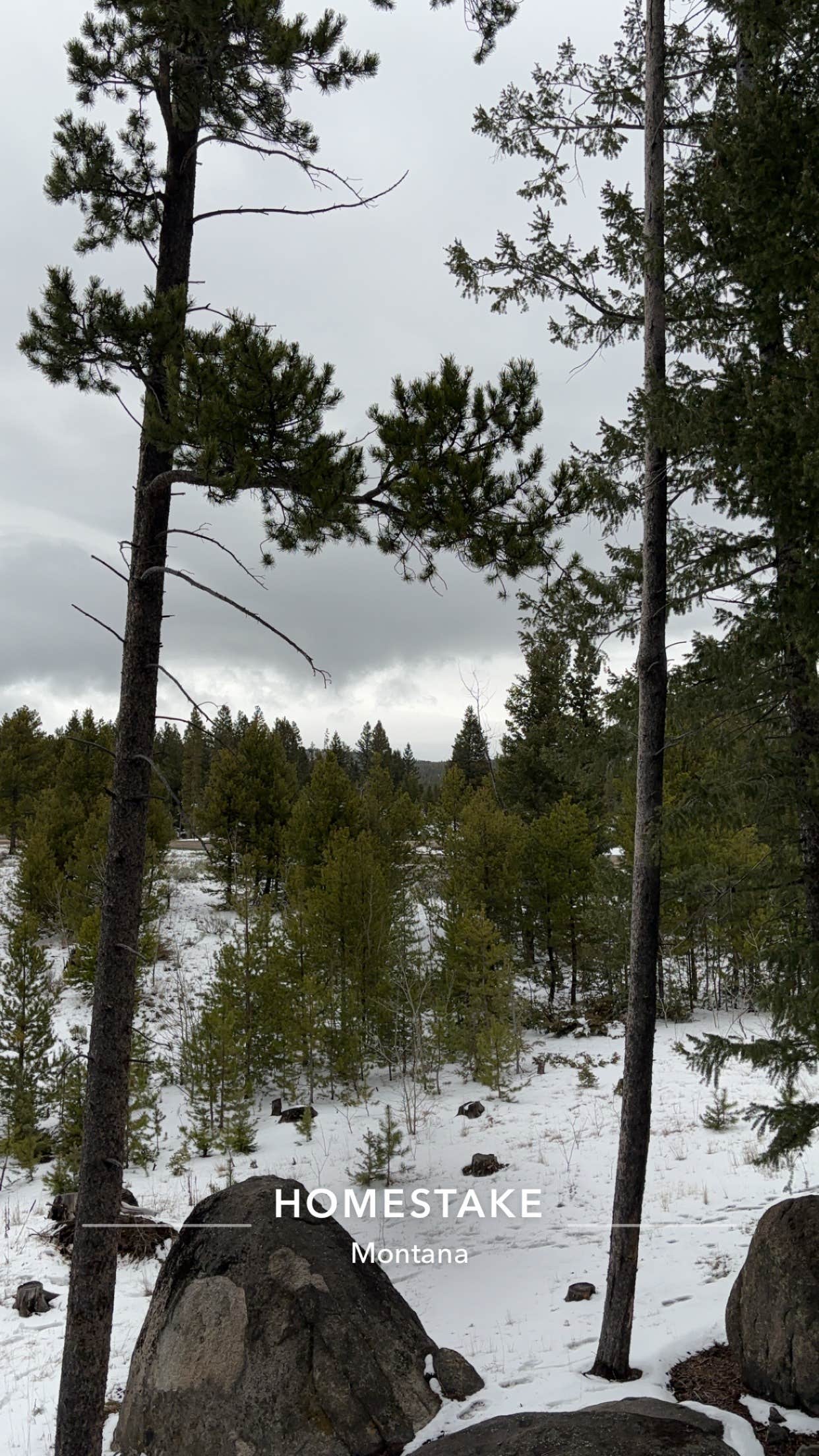Camper-submitted photo at Homestake Pass Dispersed in Montana