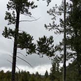 Review photo of Homestake Pass Dispersed by Natalie P., June 12, 2024