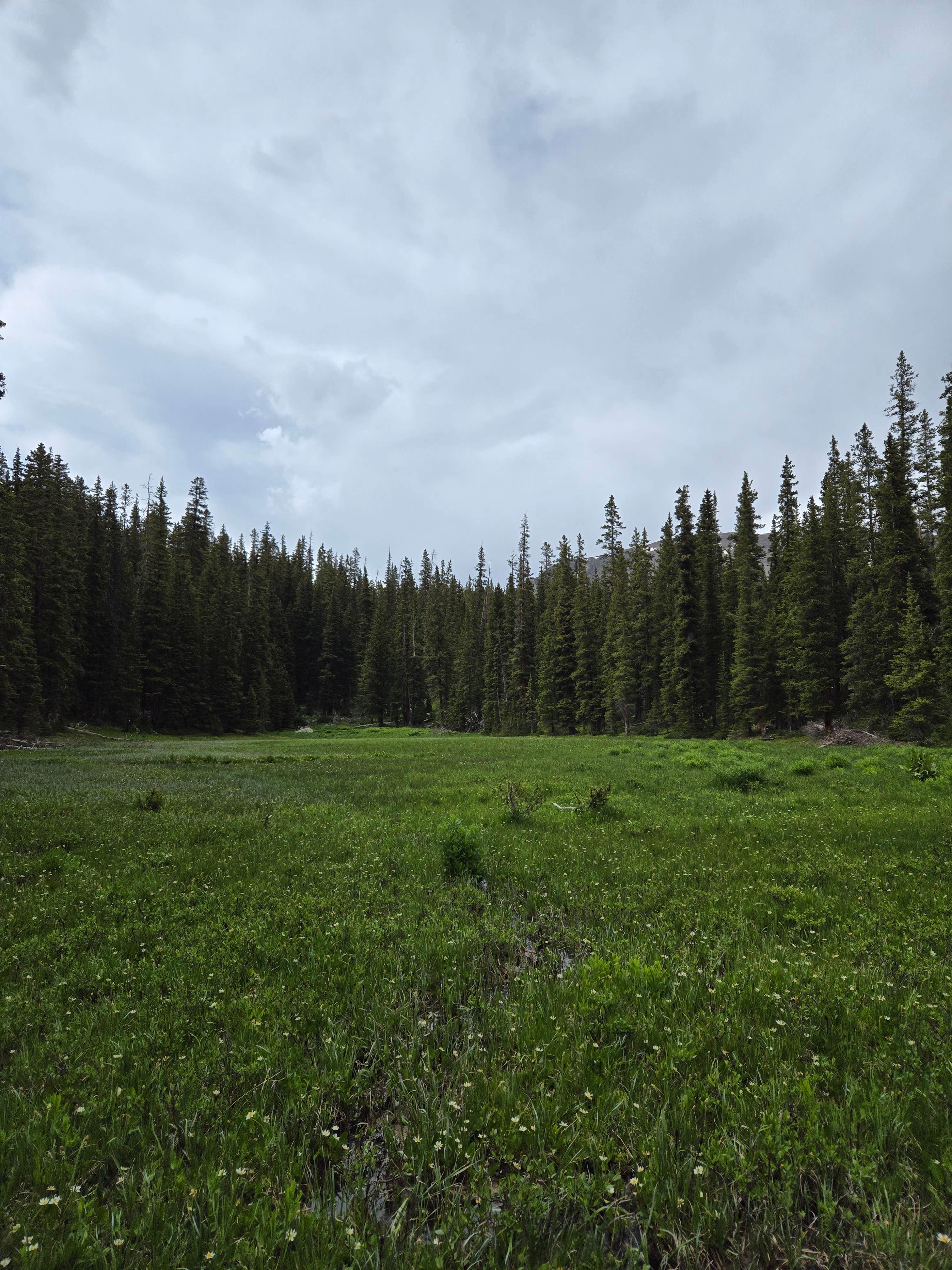 Camper-submitted photo at Homestake Reservoir Rd Milemarker 3 - Dispersed near Minturn, CO