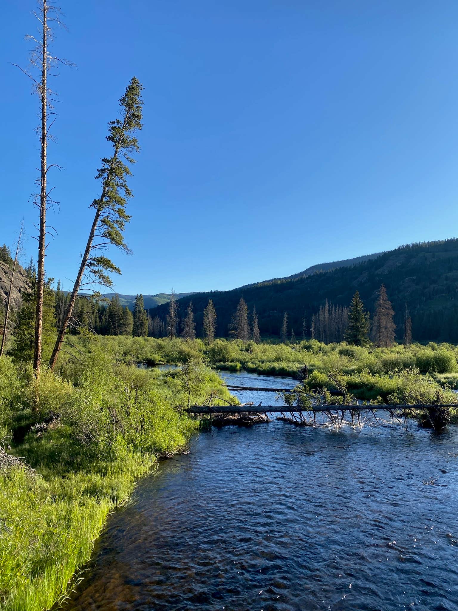 Kyle R.'s photo of a dispersed camping area at Homestake Reservoir Rd Milemarker 3 - Dispersed near Copper Mountain, CO