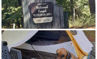 Nancy K.'s photo at Clear Springs Lake Rec Area NF Campground near Homochitto National Forest