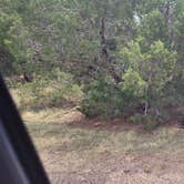 Review photo of Honey Flat Camping Area — Caprock Canyons State Park by Pedro C., September 18, 2024