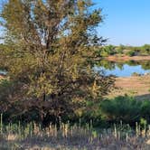 Review photo of Honey Flat Camping Area — Caprock Canyons State Park by Pedro C., September 18, 2024