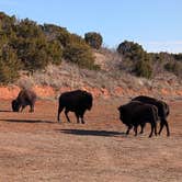 Review photo of Honey Flat Camping Area — Caprock Canyons State Park by Jay P., February 19, 2025