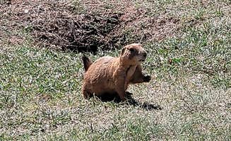 Pedro C.'s photo of camping with pets at Honey Flat Camping Area — Caprock Canyons State Park near Plainview, TX