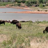 Review photo of Honey Flat Camping Area — Caprock Canyons State Park by Pedro C., September 18, 2024