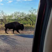 Review photo of Honey Flat Camping Area — Caprock Canyons State Park by Pedro C., September 18, 2024