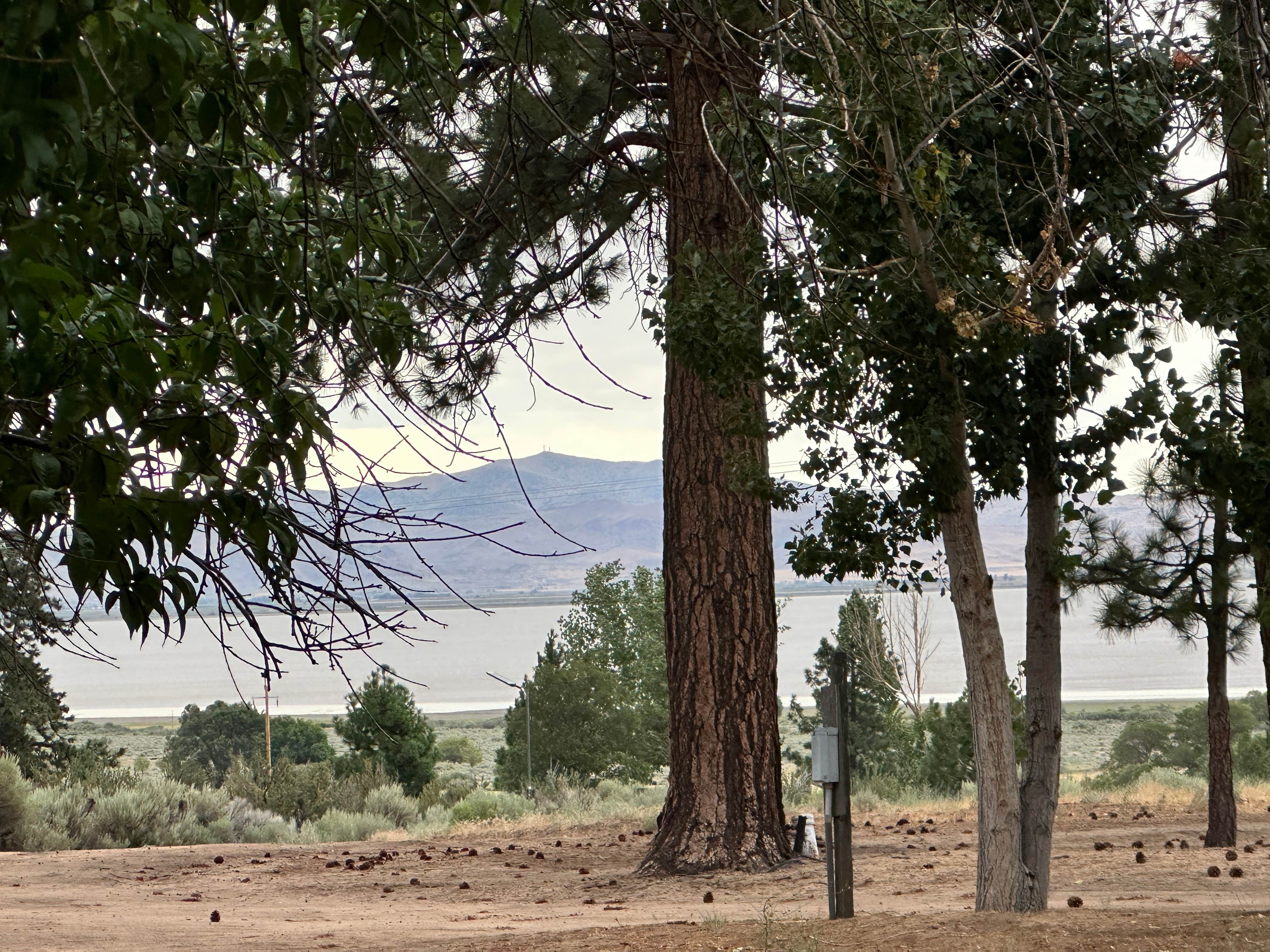 Camper-submitted photo at Honey Lake Campground near Twain, CA