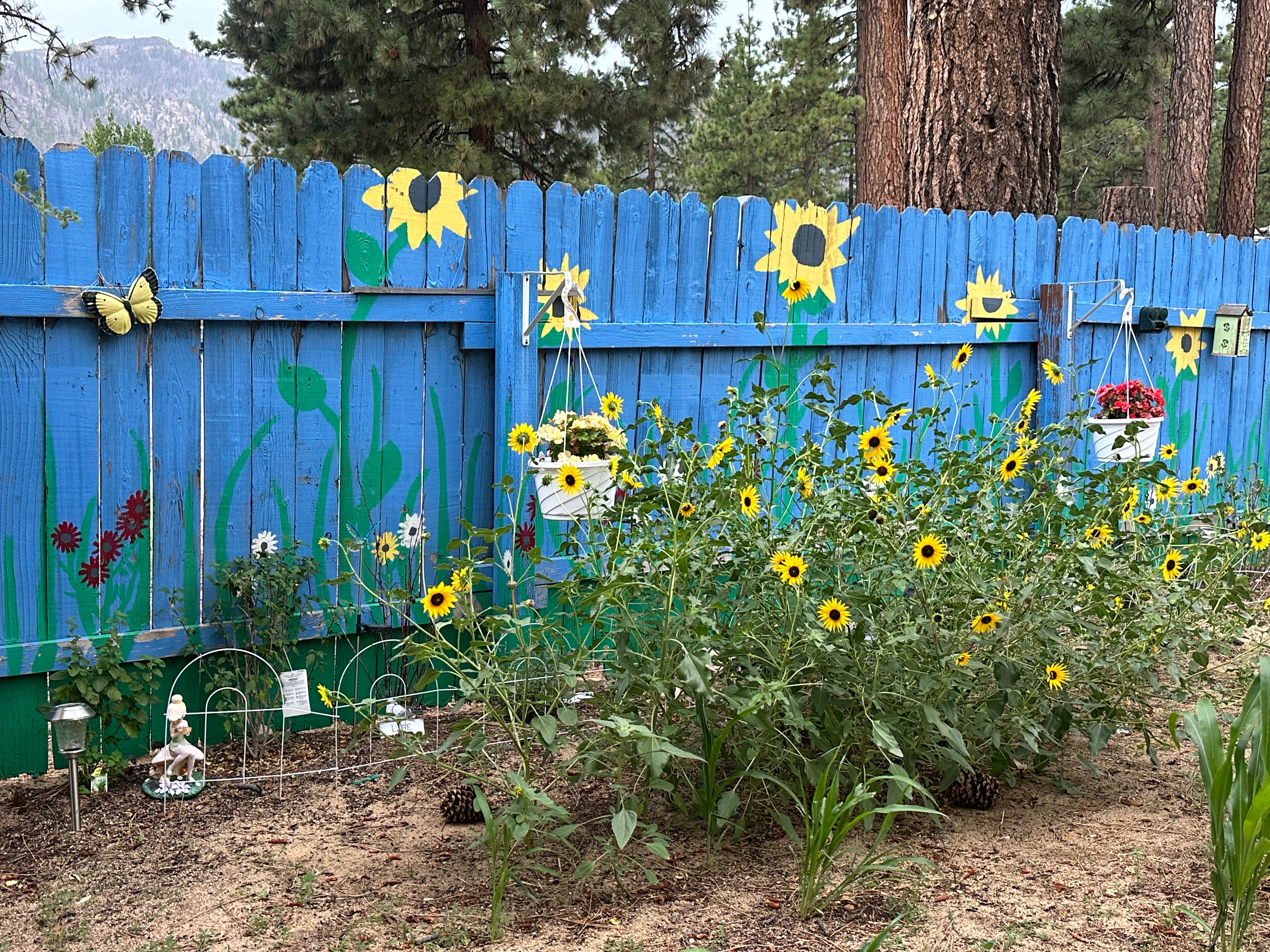 Camper-submitted photo at Honey Lake Campground near Twain, CA