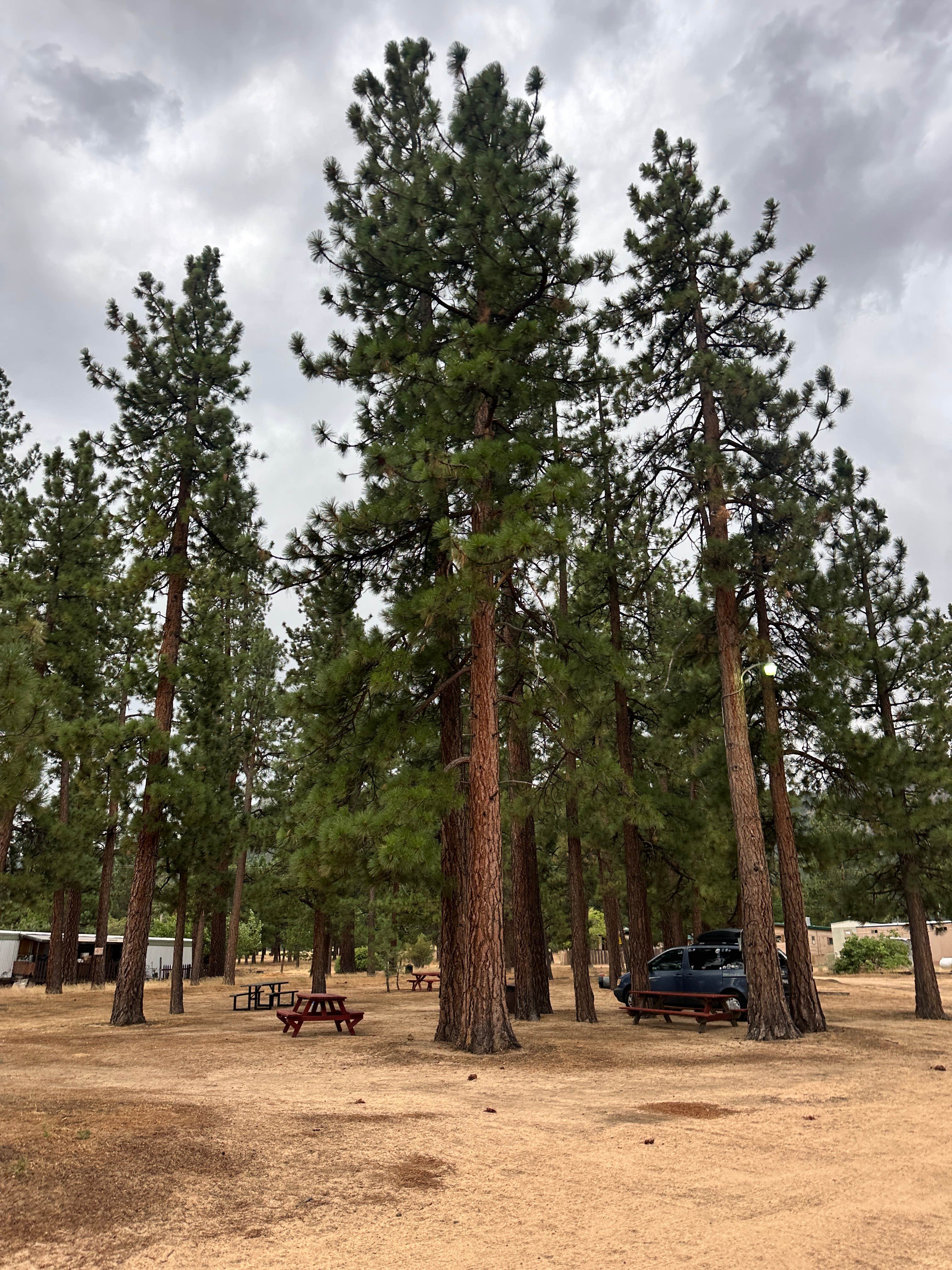 Camper-submitted photo at Honey Lake Campground near Twain, CA