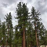 Review photo of Honey Lake Campground by G M., July 25, 2025