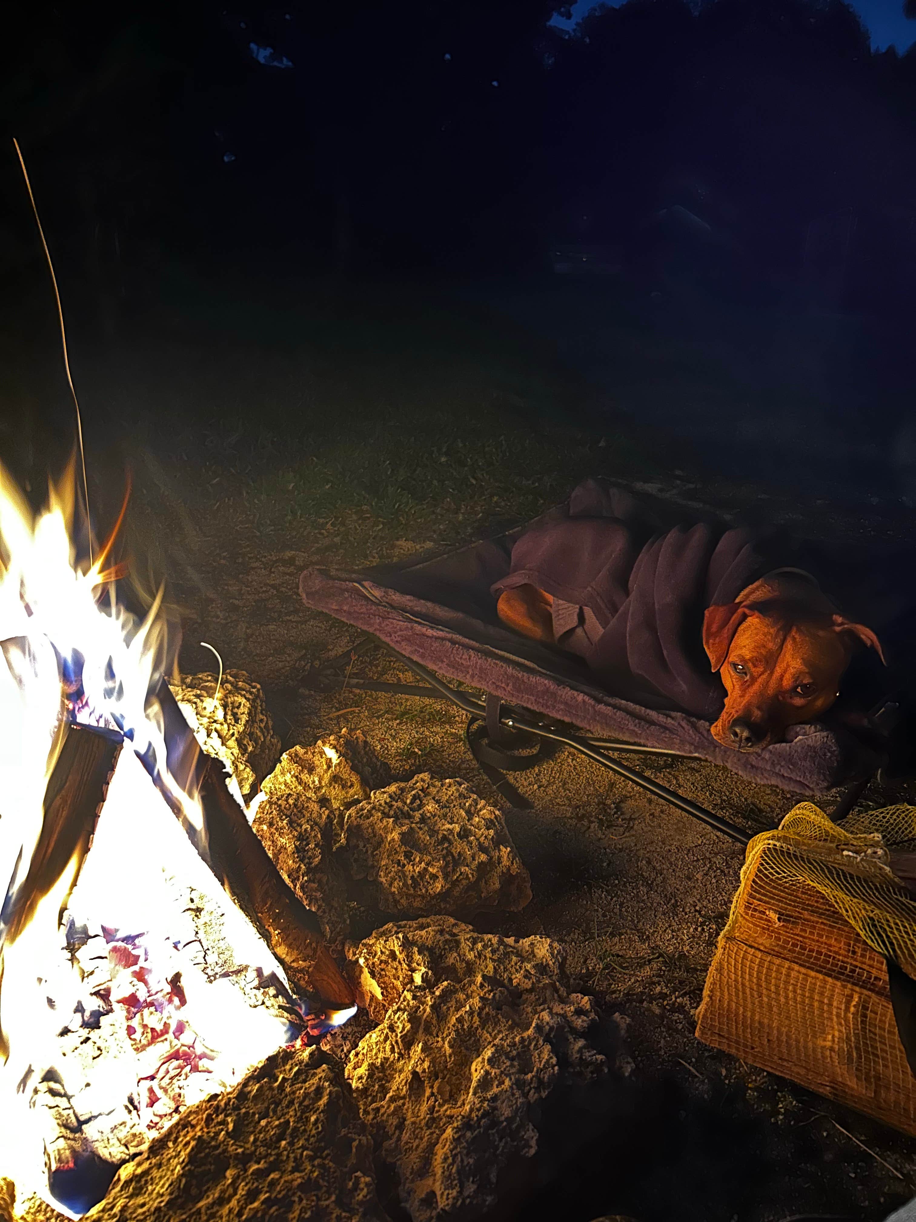 Camper-submitted photo at Honey's Place near North Miami, FL