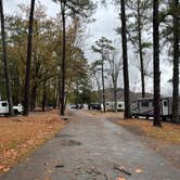 Review photo of Honeycomb Campground by Will G., November 21, 2023