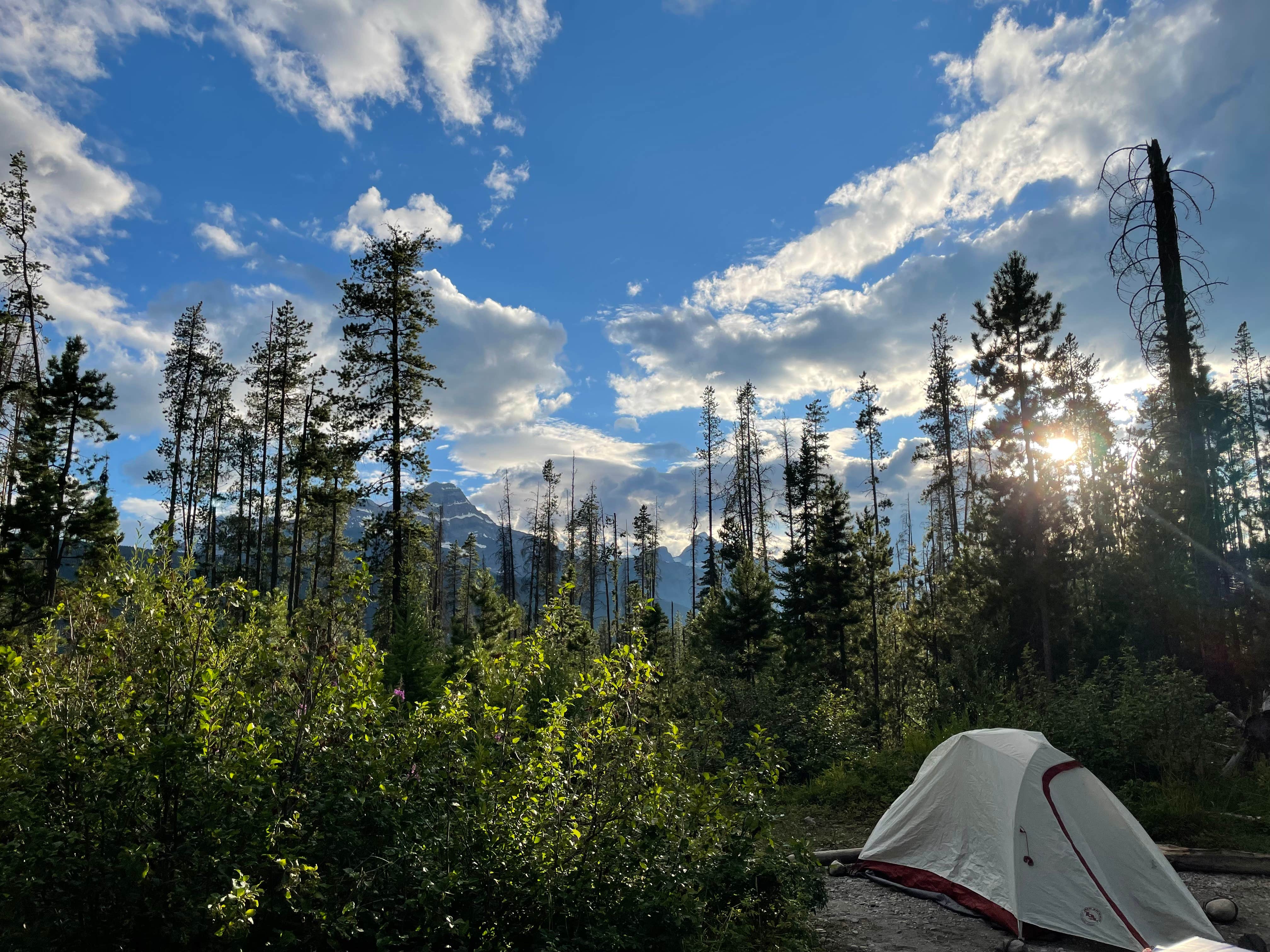 Camping near Miette Campground: Honeymoon Lake Campground, Porthill, Washington