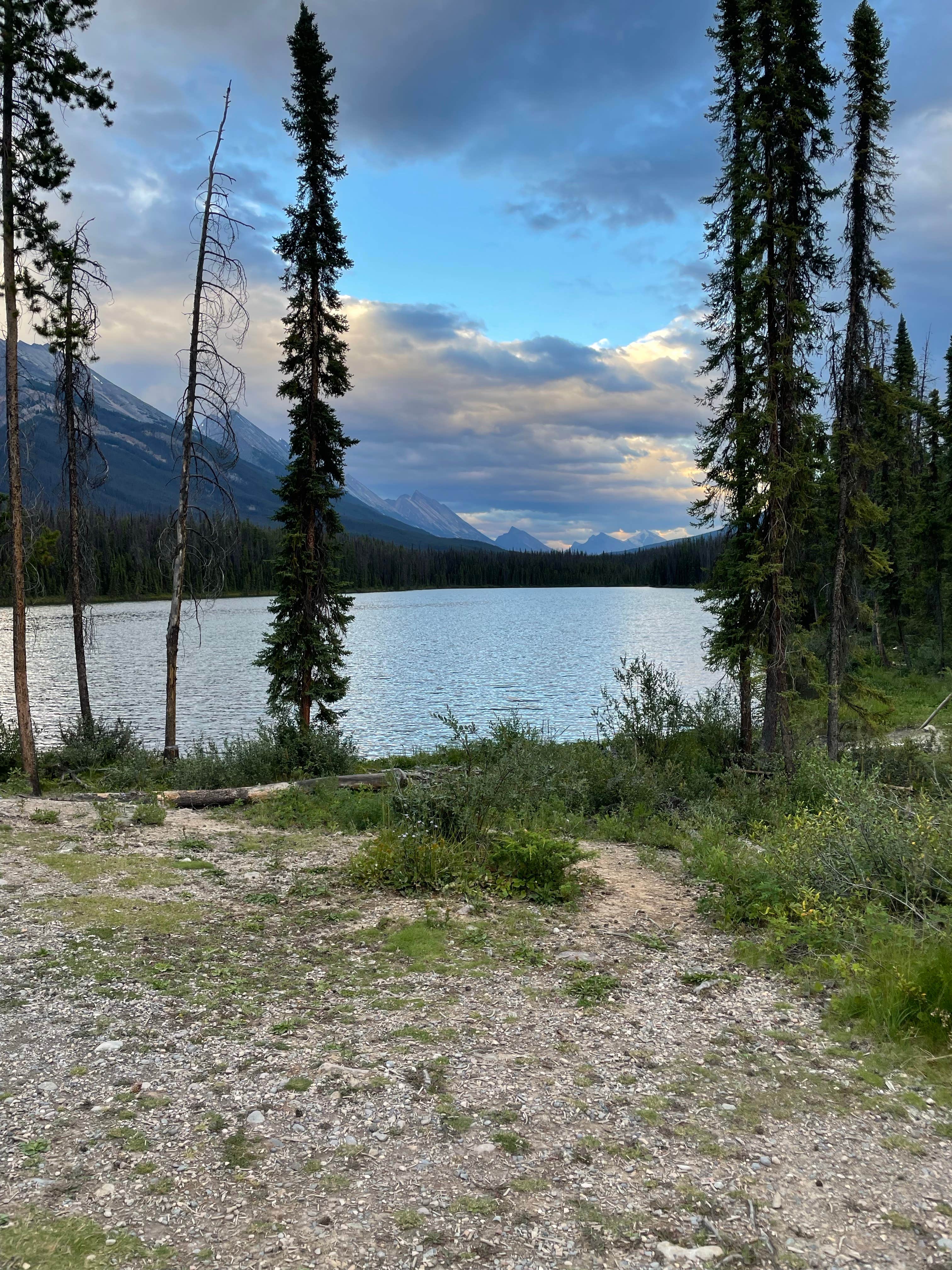 Water