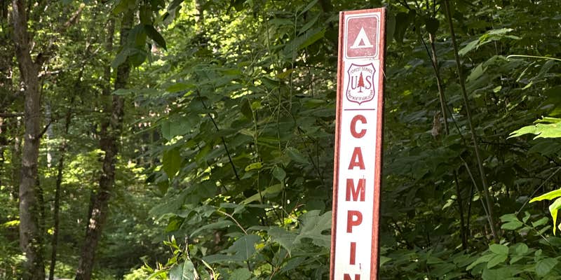 Camper submitted image from Hoosier National Forest Campsite