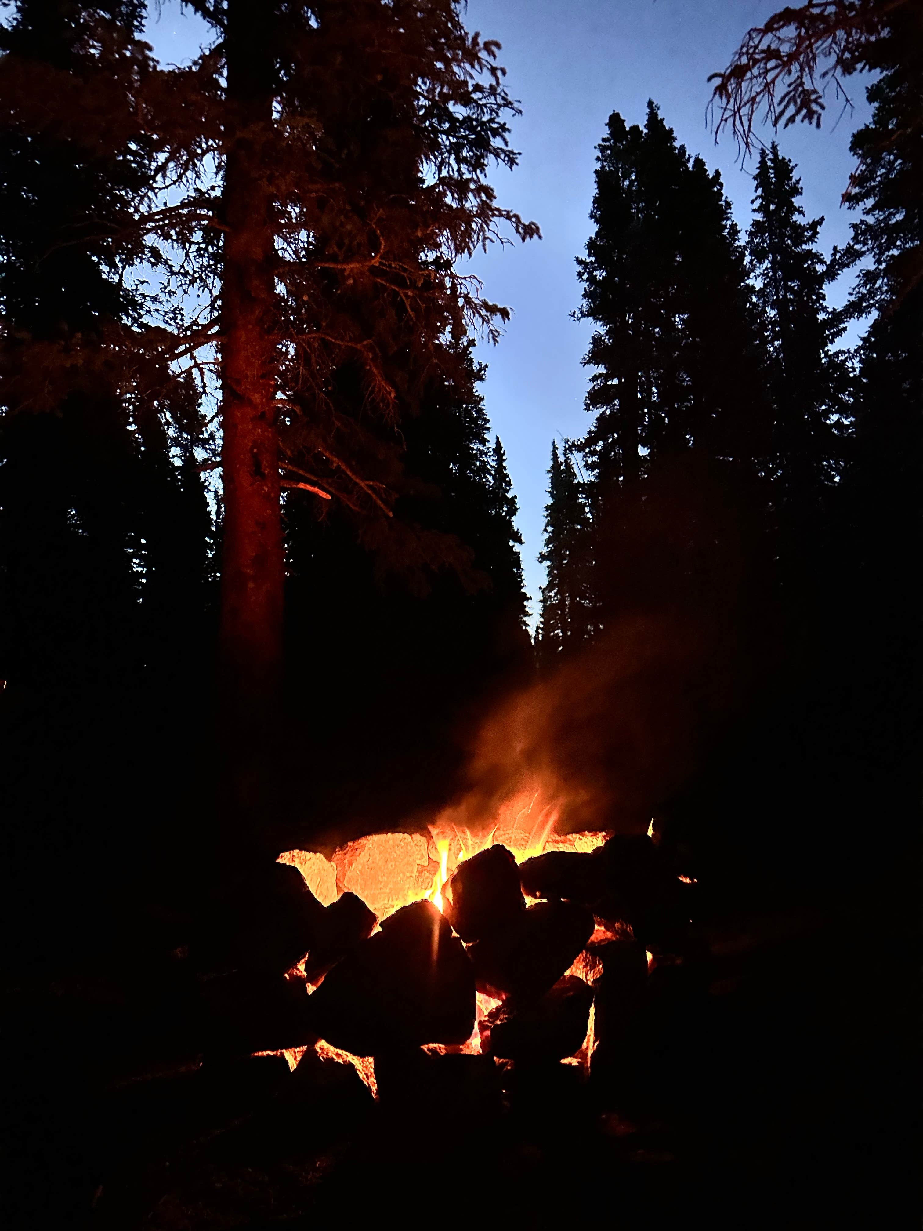 Camper-submitted photo at Hoosier Pass Dispersed Camping near Copper Mountain, CO