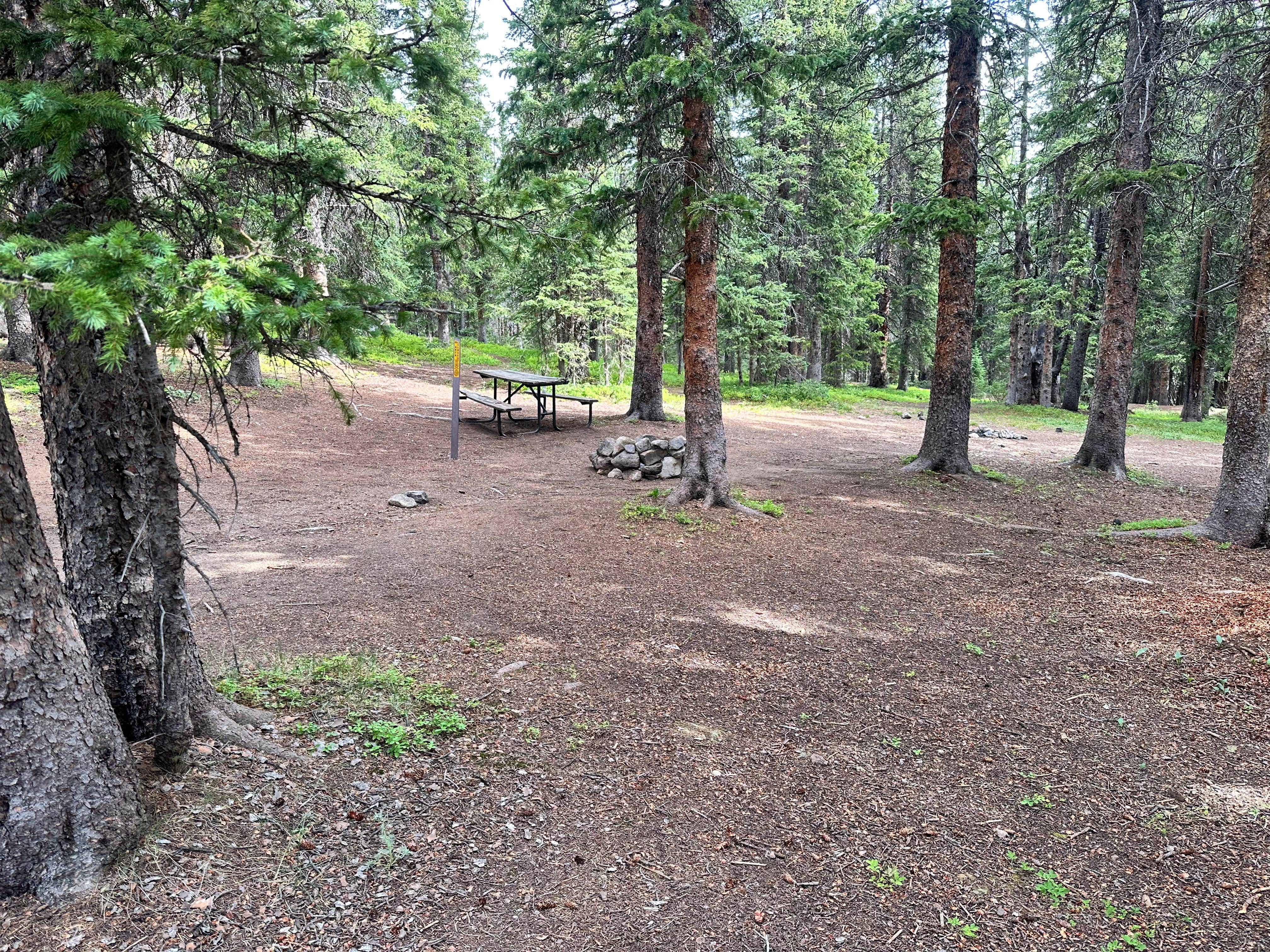 Camper submitted image from Hoosier Pass Dispersed Camping - 4