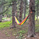 Review photo of Hoosier Pass Dispersed Camping by Eric M., July 19, 2025