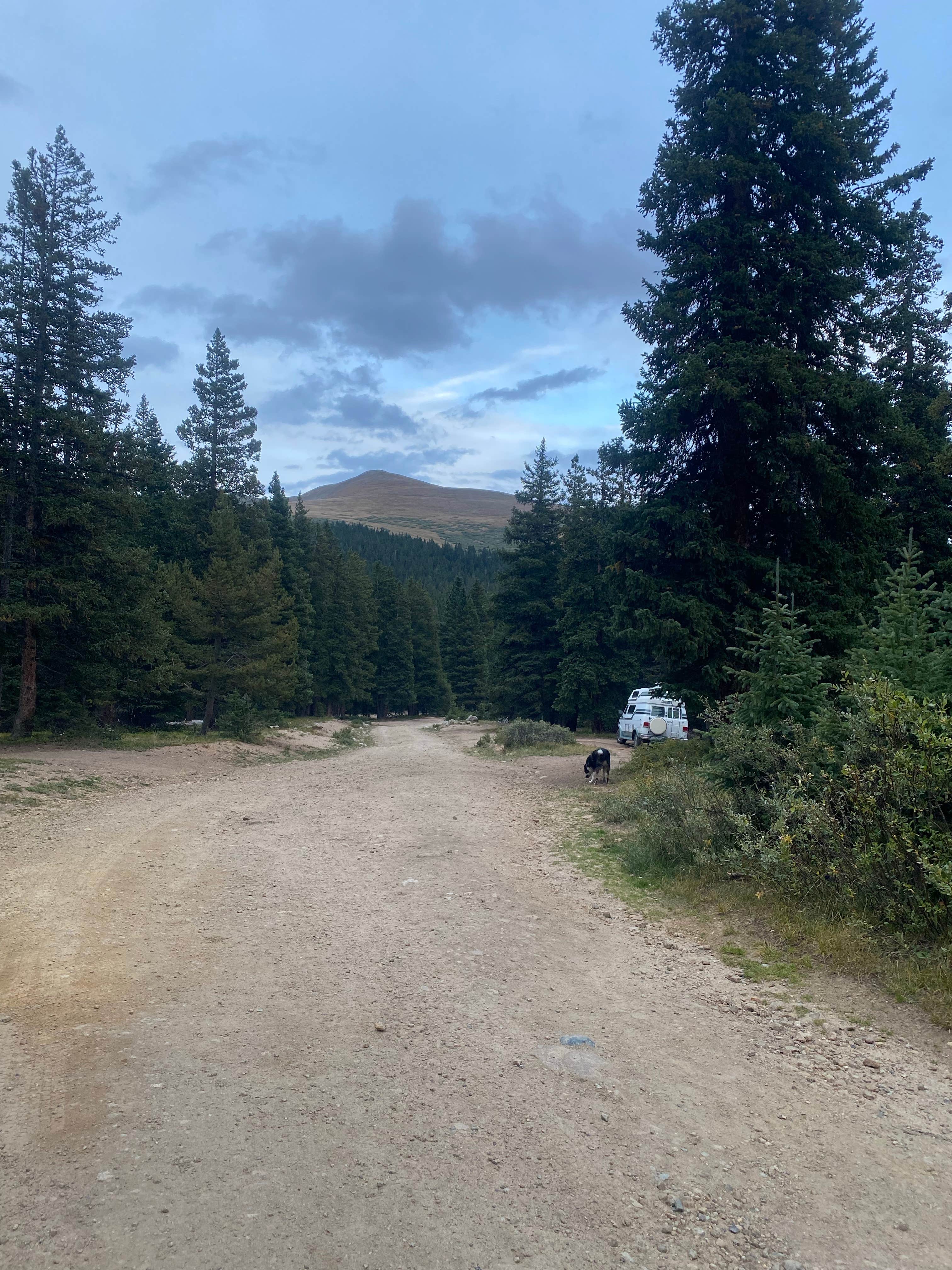 Coco's photo of camping with pets at Hoosier Pass Dispersed Camping near Climax, CO