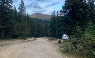 Coco's photo of camping with pets at Hoosier Pass Dispersed Camping near Climax, CO