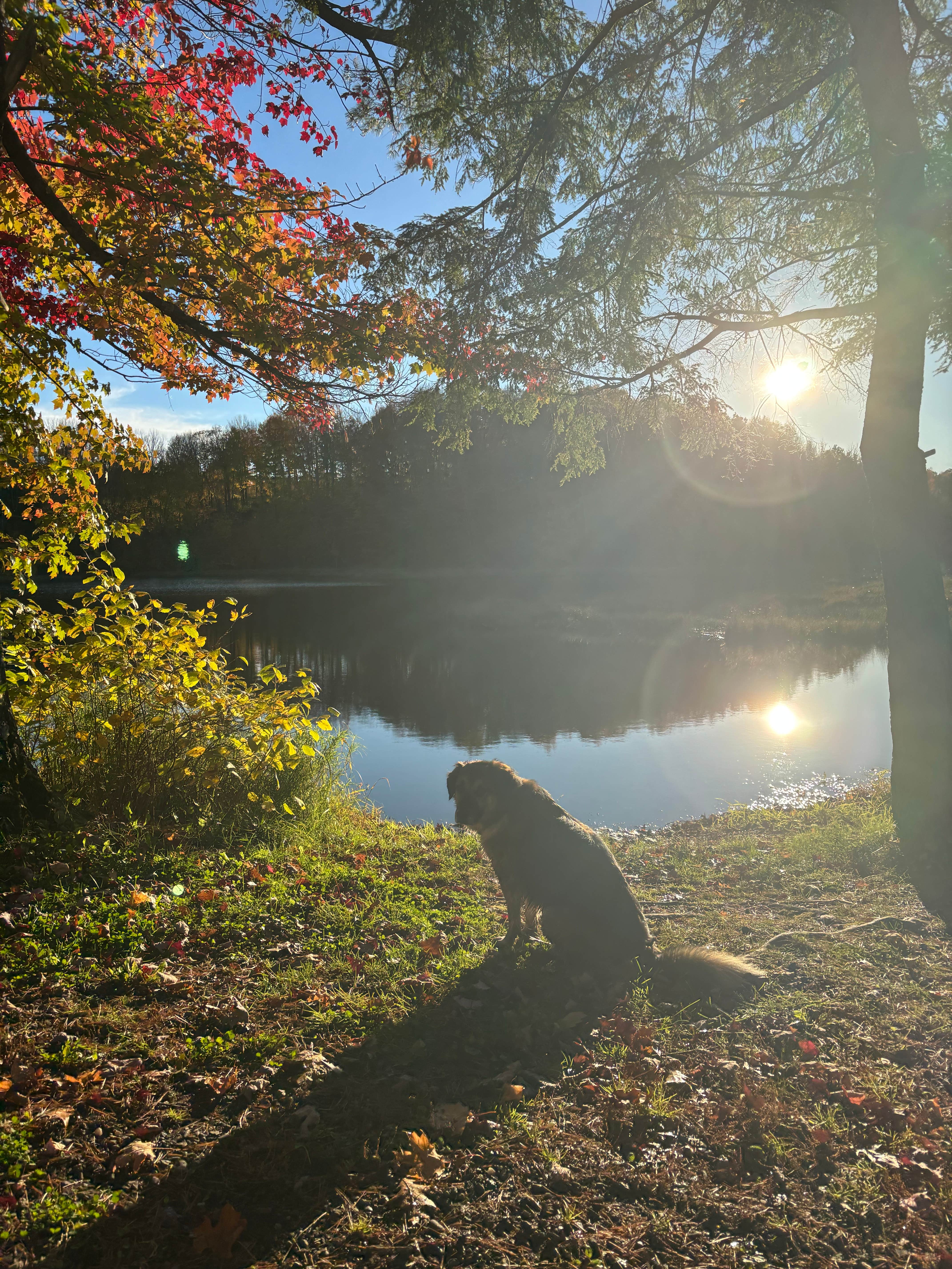 Justine I.'s photo of a dispersed camping area at Horn Lake and Lincoln County Forest near Phillips, WI