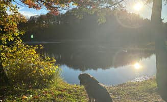 Justine I.'s photo of a dispersed camping area at Horn Lake and Lincoln County Forest near Deerbrook, WI