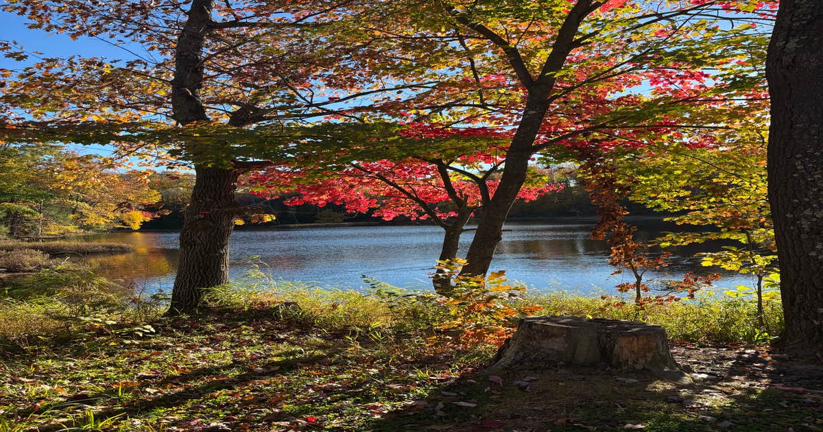 Horn Lake and Lincoln County Forest