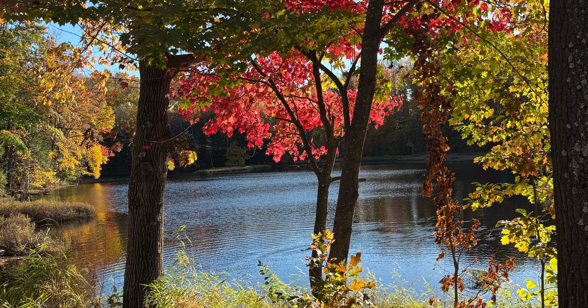 Horn Lake and Lincoln County Forest