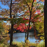 Review photo of Horn Lake and Lincoln County Forest by Justine I., October 14, 2025
