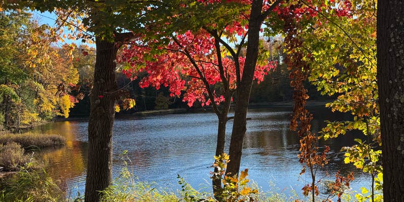 Camper submitted image from Horn Lake and Lincoln County Forest