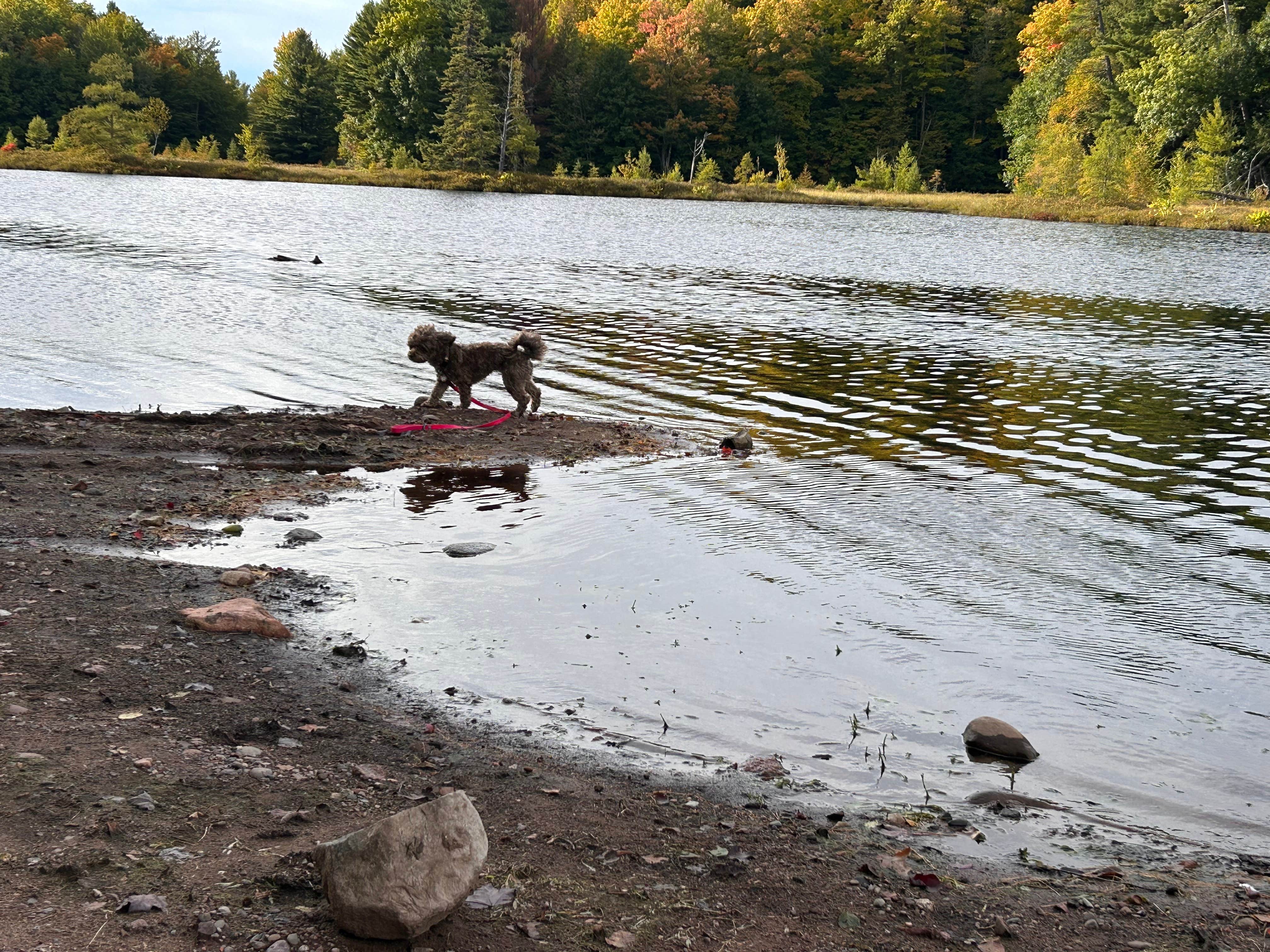 Camper-submitted photo at Horn Lake Camping near Rothschild, WI