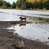Review photo of Horn Lake Camping by Melissa A., September 25, 2026