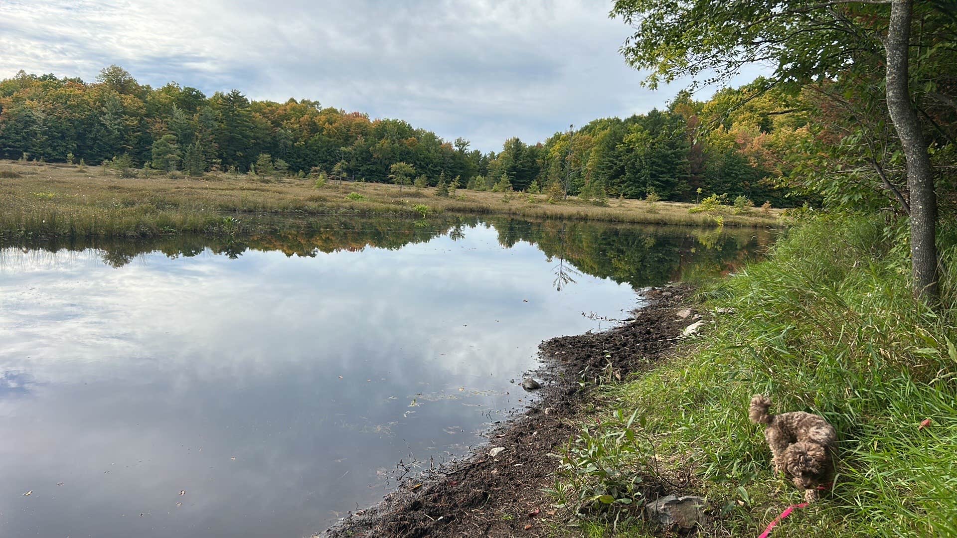 Camper-submitted photo at Horn Lake Camping near Rothschild, WI