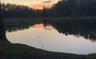 Charles N.'s photo of a dispersed camping area at Horn Lake Camping near Phillips, WI