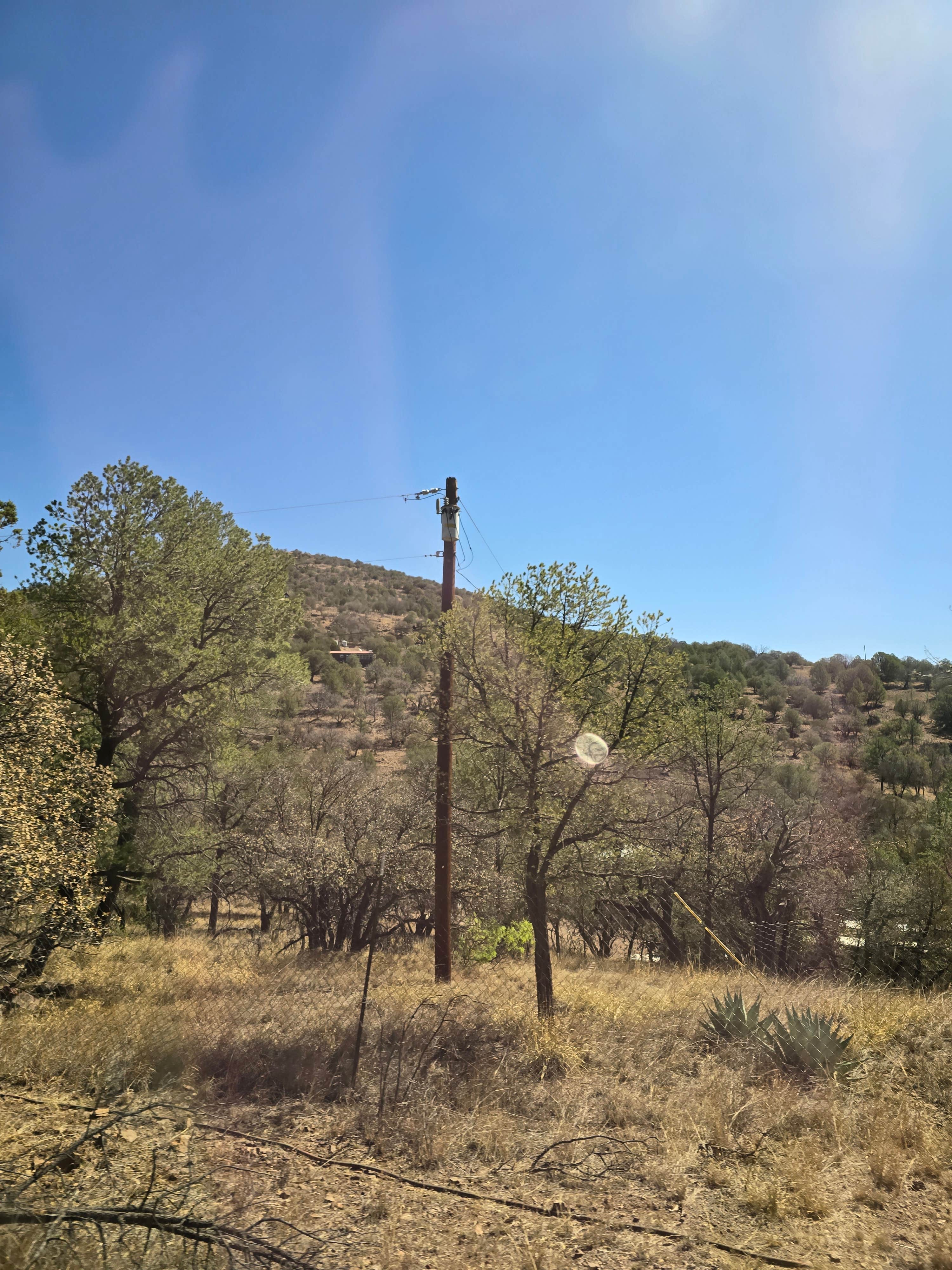 Camper submitted image from Hornets Nest - 5