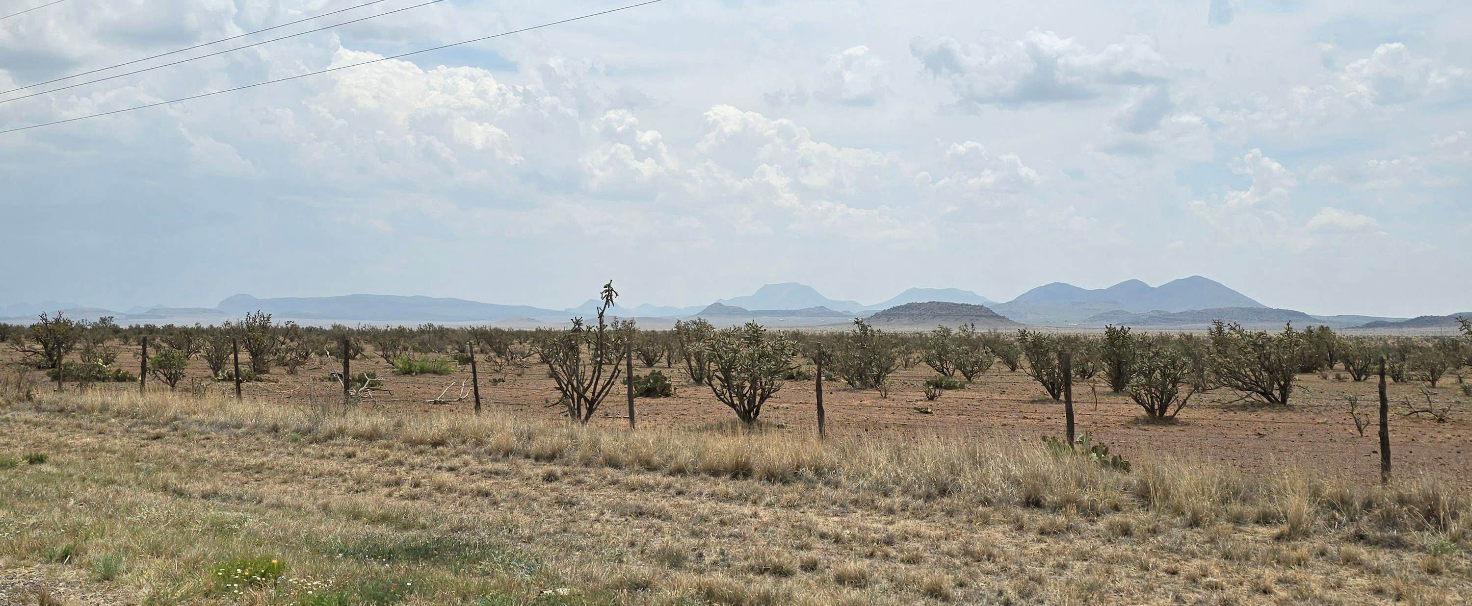 Camping near Tiny Town RV Park: Hornets Nest, Fort Davis, Texas